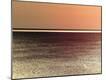 Premium Photographic Print