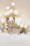 Reindeer - a Christmas Decoration-Petra Daisenberger-Photographic Print
