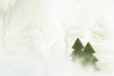 Christmas Decoration, Still Life Made of Wood, Fir Trees in Winter-Petra Daisenberger-Photographic Print