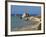 Petra Tou Romiou, Aphrodite's Rock, UNESCO World Heritage Site, Near Paphos, Cyprus, Mediterranean,-Hans Peter Merten-Framed Photographic Print