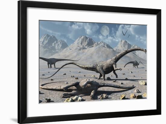 Petrified Diplodocus Dinosaurs from the Jurassic Period-Stocktrek Images-Framed Art Print