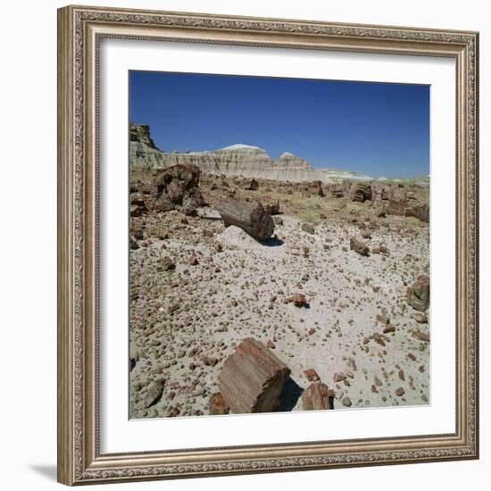 Petrified Forest, Arizona, United States of America, North America-Tony Gervis-Framed Photographic Print