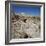 Petrified Forest, Arizona, United States of America, North America-Tony Gervis-Framed Photographic Print