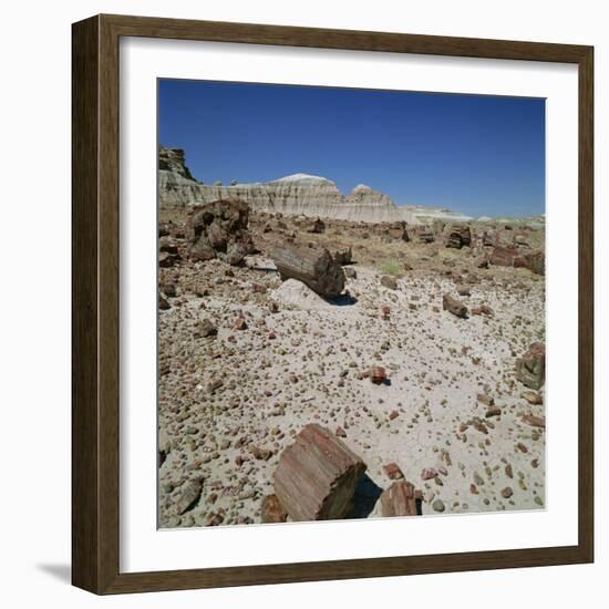 Petrified Forest, Arizona, United States of America, North America-Tony Gervis-Framed Photographic Print