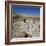 Petrified Forest, Arizona, United States of America, North America-Tony Gervis-Framed Photographic Print