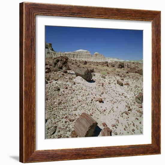 Petrified Forest, Arizona, United States of America, North America-Tony Gervis-Framed Photographic Print