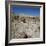 Petrified Forest, Arizona, United States of America, North America-Tony Gervis-Framed Photographic Print