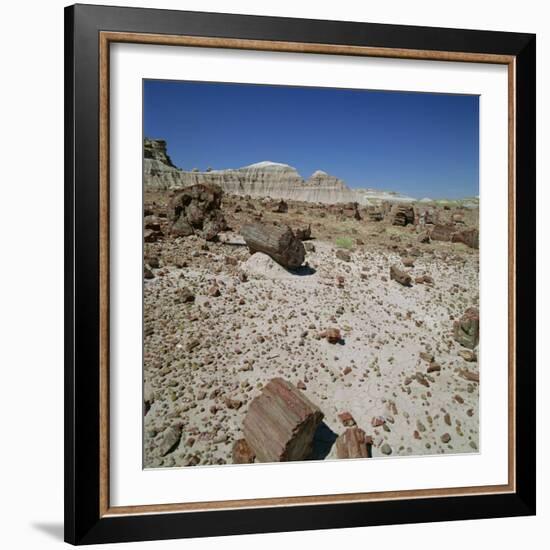 Petrified Forest, Arizona, United States of America, North America-Tony Gervis-Framed Photographic Print