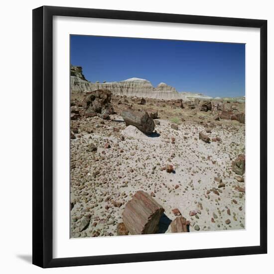 Petrified Forest, Arizona, United States of America, North America-Tony Gervis-Framed Photographic Print