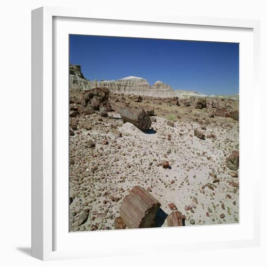 Petrified Forest, Arizona, United States of America, North America-Tony Gervis-Framed Photographic Print