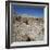 Petrified Forest, Arizona, United States of America, North America-Tony Gervis-Framed Photographic Print