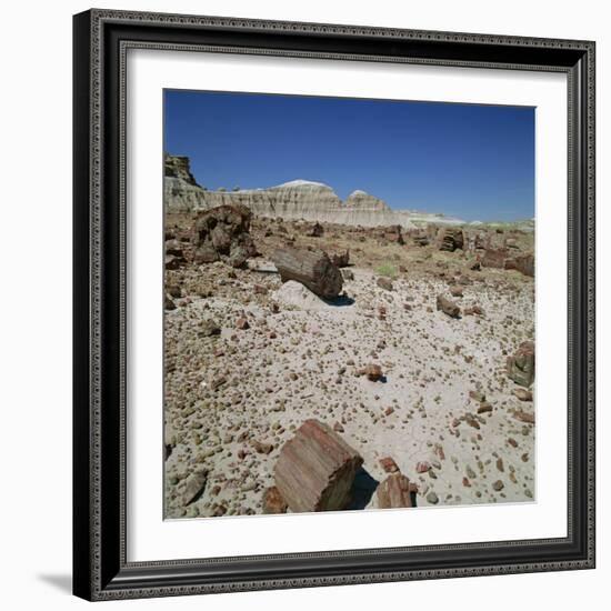 Petrified Forest, Arizona, United States of America, North America-Tony Gervis-Framed Photographic Print