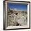 Petrified Forest, Arizona, United States of America, North America-Tony Gervis-Framed Photographic Print