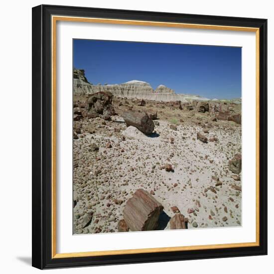 Petrified Forest, Arizona, United States of America, North America-Tony Gervis-Framed Photographic Print