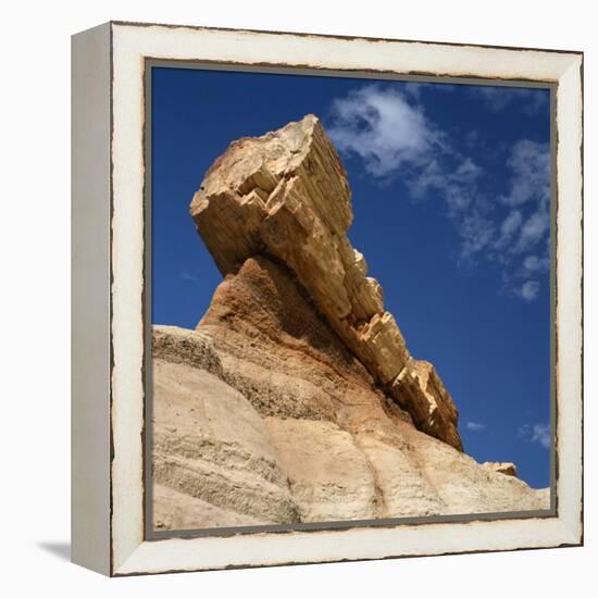 Petrified Forest in Arizona, United States of America, North America-Tony Gervis-Framed Premier Image Canvas