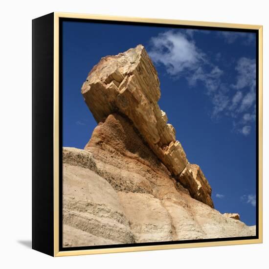 Petrified Forest in Arizona, United States of America, North America-Tony Gervis-Framed Premier Image Canvas