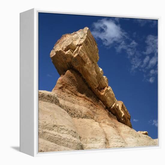 Petrified Forest in Arizona, United States of America, North America-Tony Gervis-Framed Premier Image Canvas