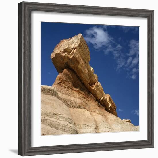 Petrified Forest in Arizona, United States of America, North America-Tony Gervis-Framed Photographic Print