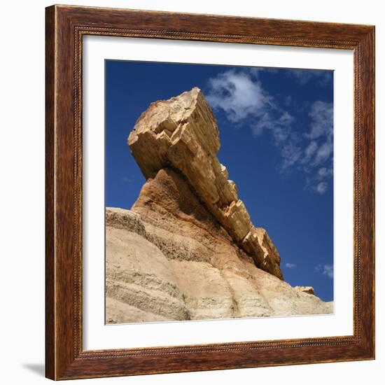 Petrified Forest in Arizona, United States of America, North America-Tony Gervis-Framed Photographic Print