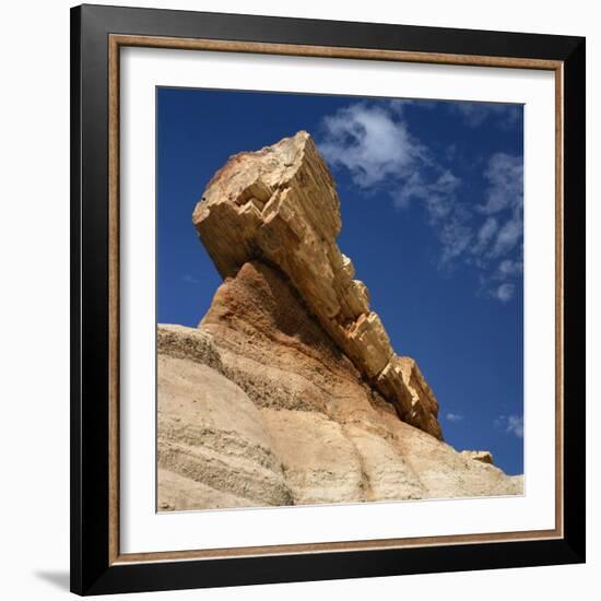 Petrified Forest in Arizona, United States of America, North America-Tony Gervis-Framed Photographic Print