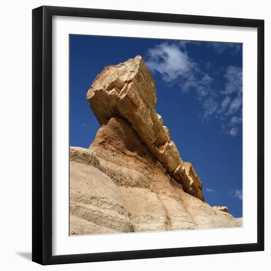 Petrified Forest in Arizona, United States of America, North America-Tony Gervis-Framed Photographic Print