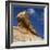 Petrified Forest in Arizona, United States of America, North America-Tony Gervis-Framed Photographic Print