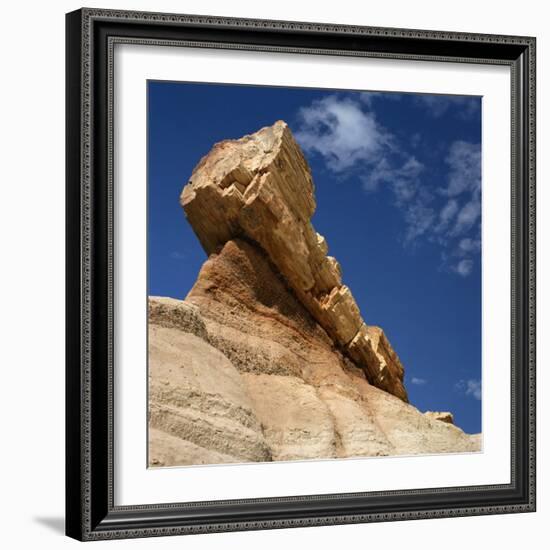 Petrified Forest in Arizona, United States of America, North America-Tony Gervis-Framed Photographic Print