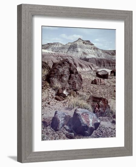 Petrified Forest National Monument-Nat Farbman-Framed Photographic Print