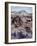 Petrified Forest National Monument-Nat Farbman-Framed Photographic Print