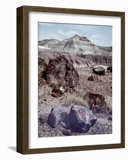 Petrified Forest National Monument-Nat Farbman-Framed Photographic Print