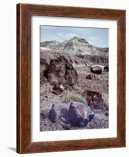 Petrified Forest National Monument-Nat Farbman-Framed Photographic Print