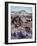 Petrified Forest National Monument-Nat Farbman-Framed Photographic Print