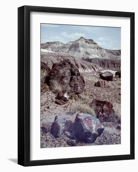 Petrified Forest National Monument-Nat Farbman-Framed Photographic Print