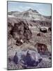 Petrified Forest National Monument-Nat Farbman-Mounted Photographic Print