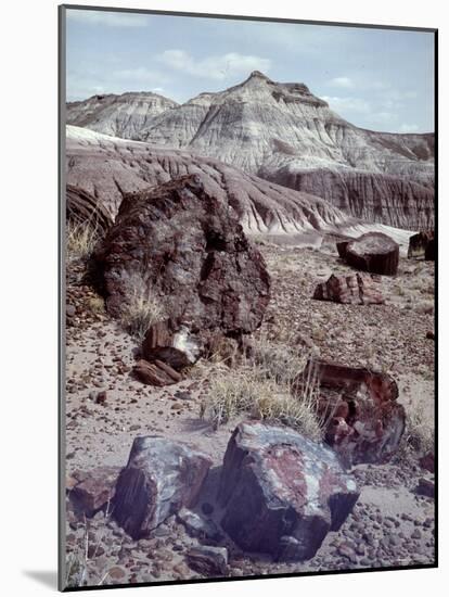 Petrified Forest National Monument-Nat Farbman-Mounted Photographic Print