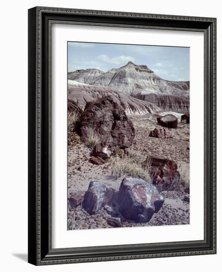 Petrified Forest National Monument-Nat Farbman-Framed Photographic Print