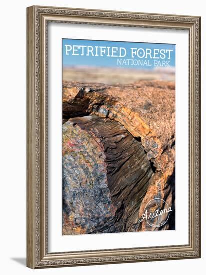 Petrified Forest National Park, Arizona - Daytime Close Up-Lantern Press-Framed Art Print