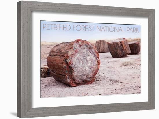 Petrified Forest National Park, Arizona - Petrified Wood-Lantern Press-Framed Art Print
