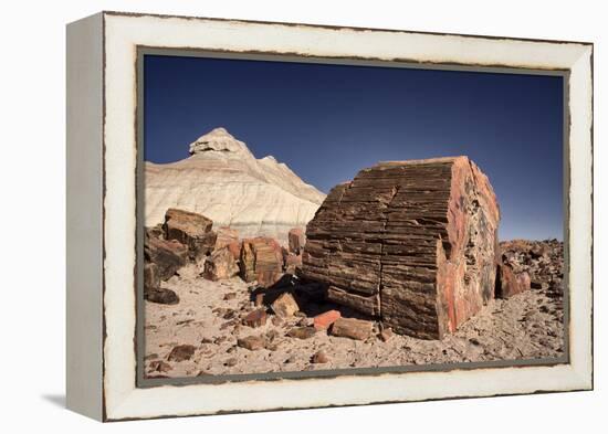 Petrified Forest National Park, Arizona-Rob Sheppard-Framed Premier Image Canvas