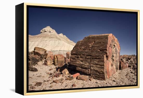 Petrified Forest National Park, Arizona-Rob Sheppard-Framed Premier Image Canvas