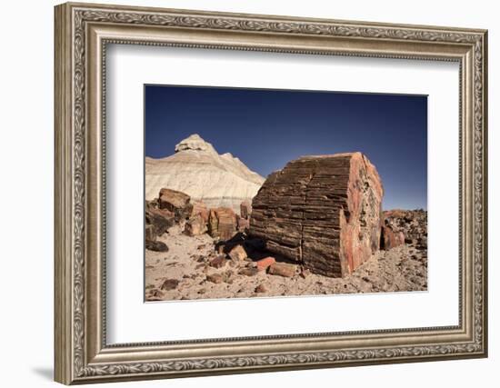 Petrified Forest National Park, Arizona-Rob Sheppard-Framed Photographic Print