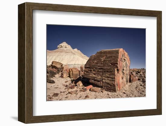 Petrified Forest National Park, Arizona-Rob Sheppard-Framed Photographic Print