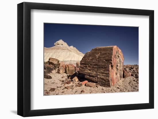 Petrified Forest National Park, Arizona-Rob Sheppard-Framed Photographic Print