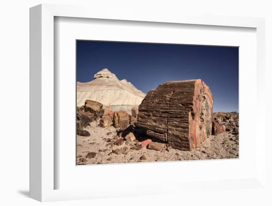 Petrified Forest National Park, Arizona-Rob Sheppard-Framed Photographic Print