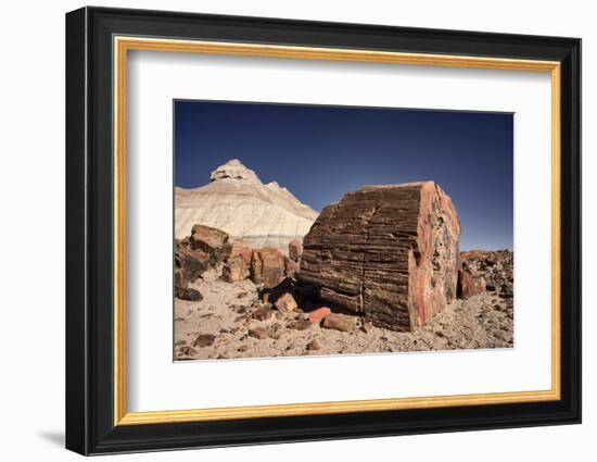 Petrified Forest National Park, Arizona-Rob Sheppard-Framed Photographic Print