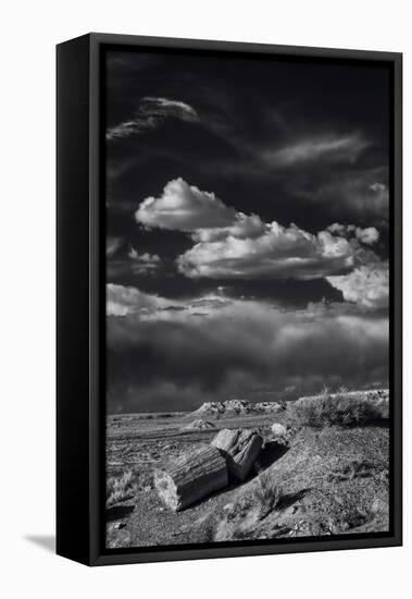 Petrified Forest National Park, Arizona-Jerry Ginsberg-Framed Premier Image Canvas