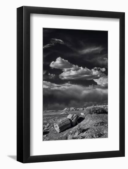 Petrified Forest National Park, Arizona-Jerry Ginsberg-Framed Photographic Print