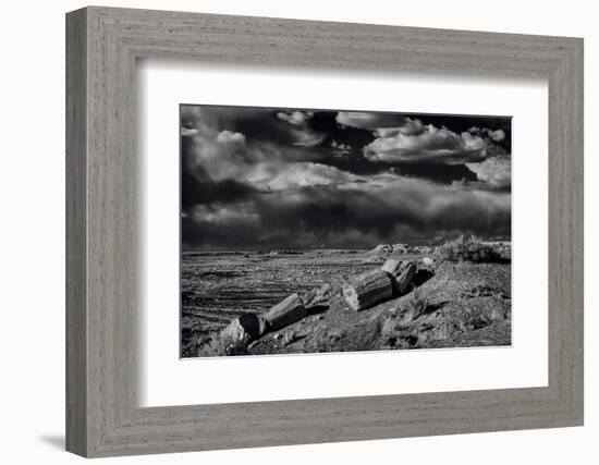 Petrified Forest National Park, Arizona-Jerry Ginsberg-Framed Photographic Print