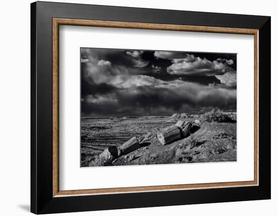 Petrified Forest National Park, Arizona-Jerry Ginsberg-Framed Photographic Print