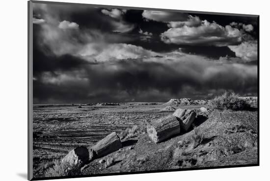 Petrified Forest National Park, Arizona-Jerry Ginsberg-Mounted Photographic Print